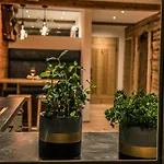 Apartament Muellner *