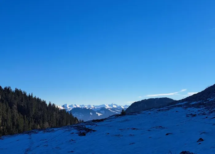 Appartamento Muellner Thiersee