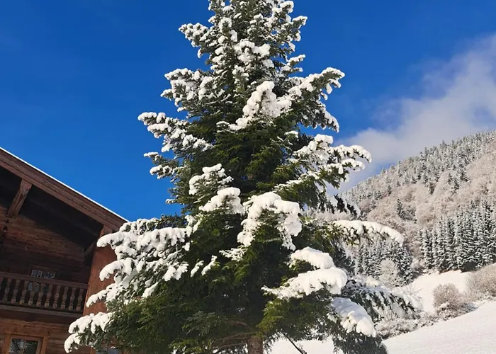 דירה Muellner תיירזה